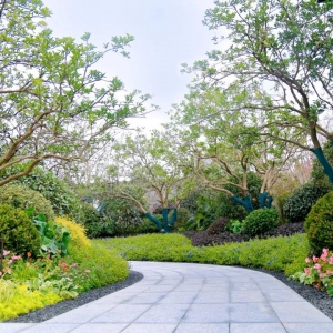 別墅庭院設(shè)計(jì)的后期如何養(yǎng)護(hù)磨杵作针？